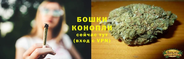 гидра Вязьма