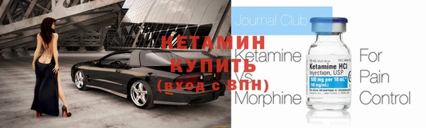 гидра Вязьма