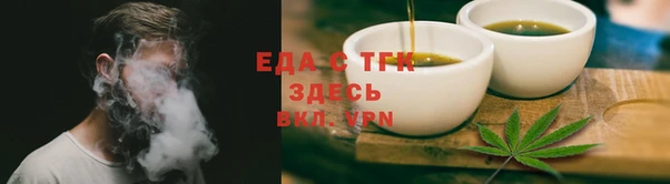 гидра Вязьма