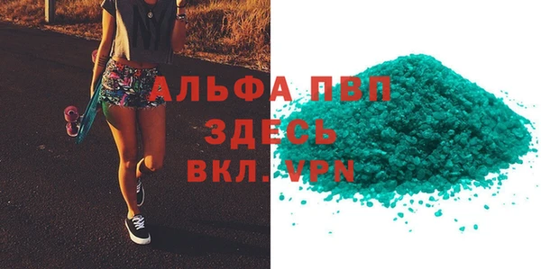гидра Вязьма