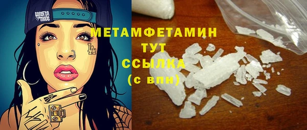 гидра Вязьма