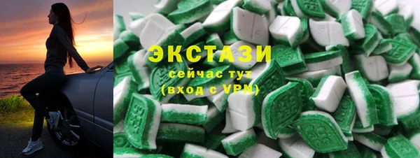 гидра Вязьма