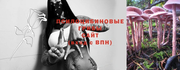 гидра Вязьма