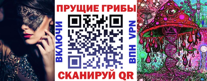 Купить где  Чудово  Псилоцибиновые грибы прущие грибы 